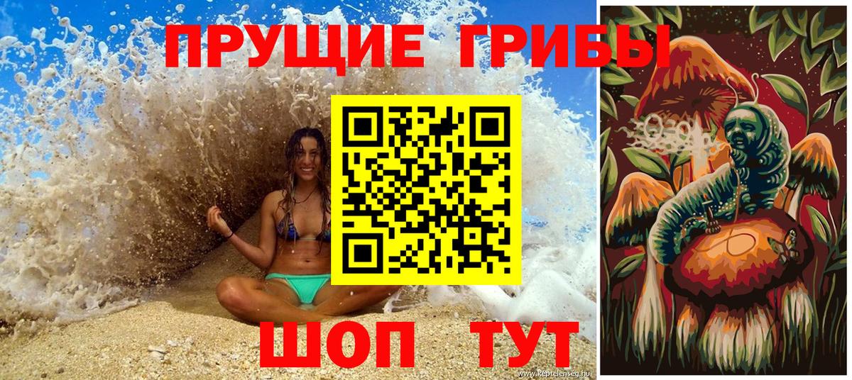 Острогожск  Псилоцибиновые грибы MAGIC MUSHROOMS  Вход с VPN 